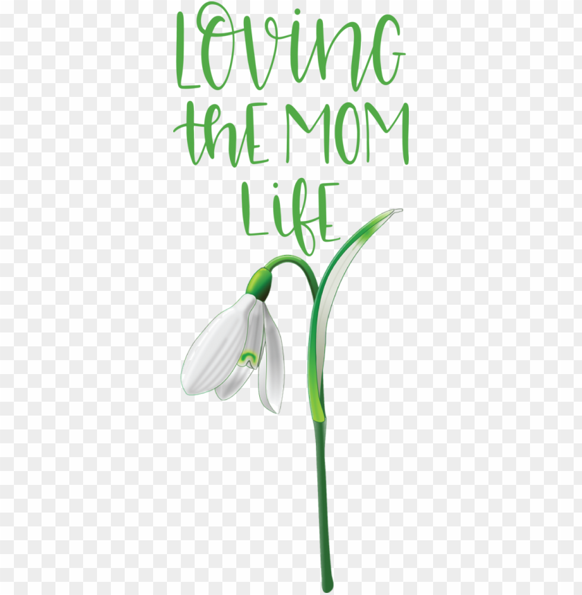 Mothers Day Leaf Plant Stem Green For Love You Mom For Mothers Day PNG Transparent Background