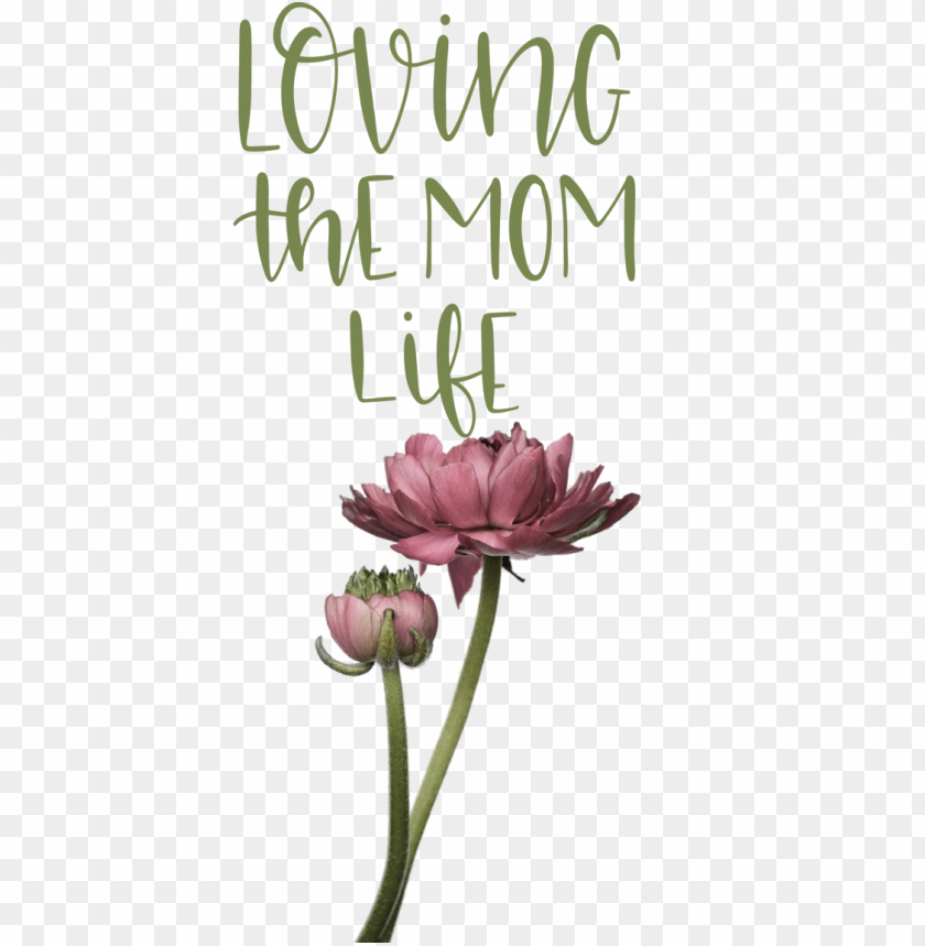 mothers day fathers day flower,mothers day,love you mom,transparent png