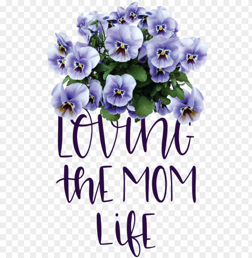 Mothers Day Pansy Violet Drawing For Love You Mom For Mothers Day PNG Transparent Background