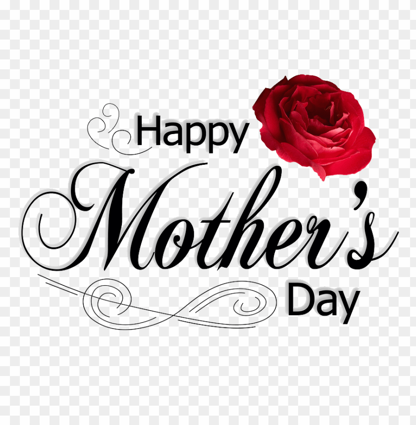 mothers, day, png, pic, rose