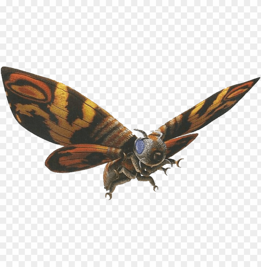 Mothra PNG Transparent Background