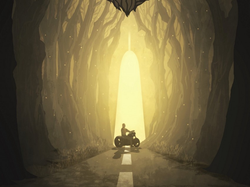 Motorcyclist Silhouette Art Forest Fantastic Wolf Muzzle Background