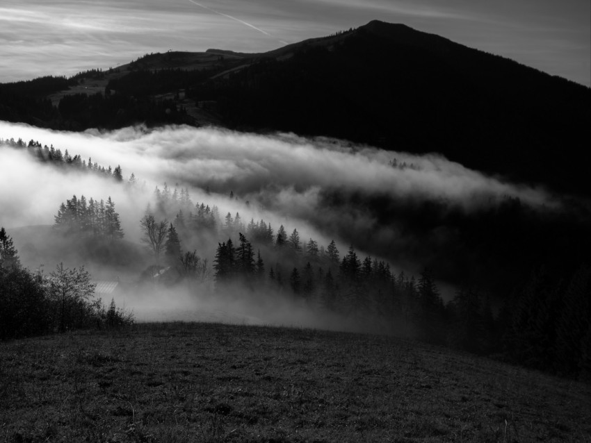 mountain, fog, bw, trees, hills