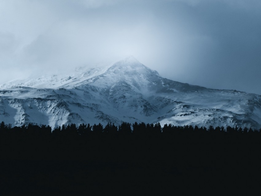 mountain, forest, fog, peak, clouds, landscape