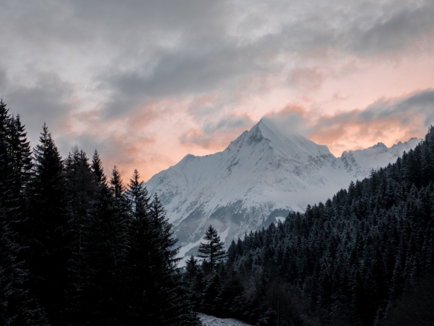 Mountain Forest Trees Peak Clouds Landscape Background