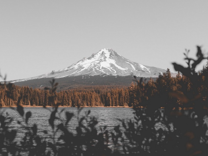 Mountain Lake Branches Sky Peak Snowy Background