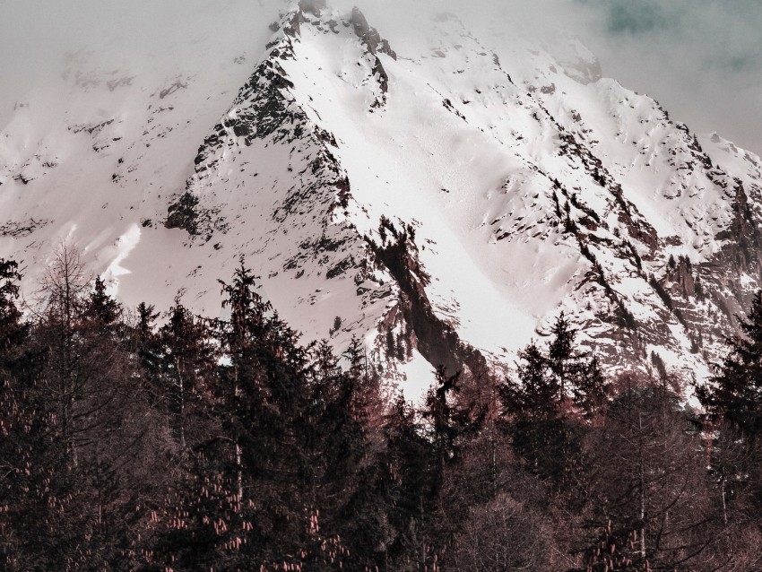 mountain, peak, fog, clouds, snowy, snow