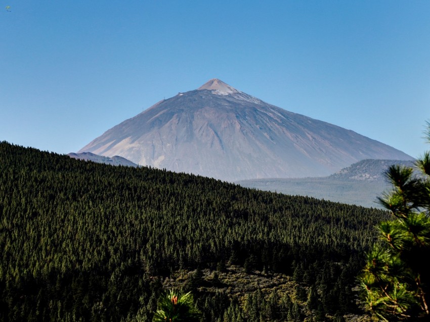 mountain, peak, forest, slope, trees