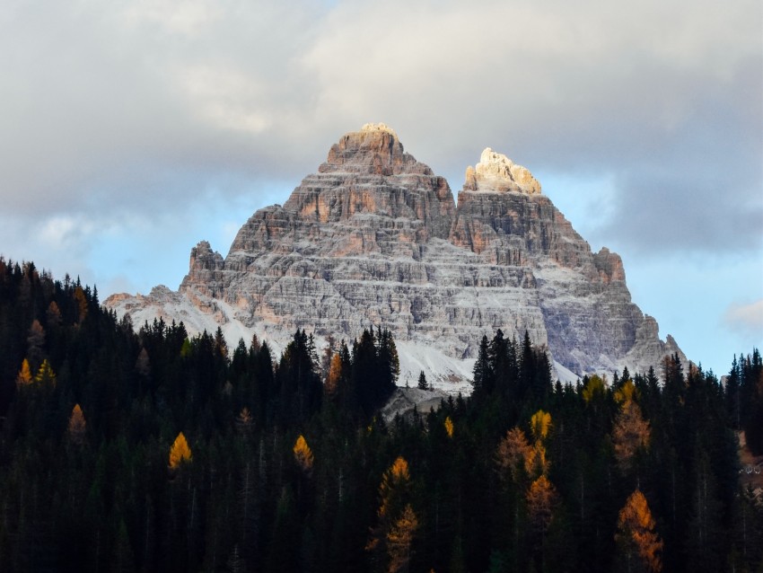 Mountain Peak Forest Trees Landscape Background