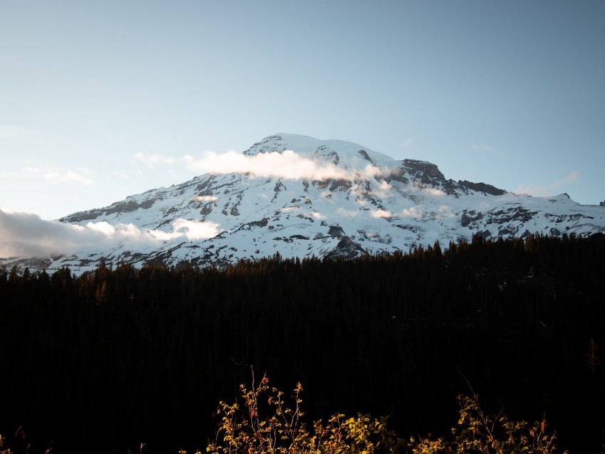 mountain, peak, snowy, forest, trees