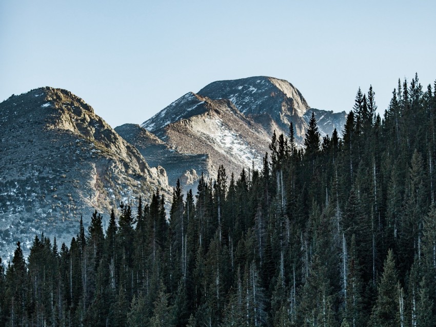 mountain, peak, trees, forest, sky