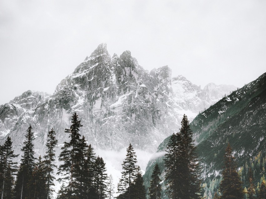 mountain, peak, trees, snow, landscape