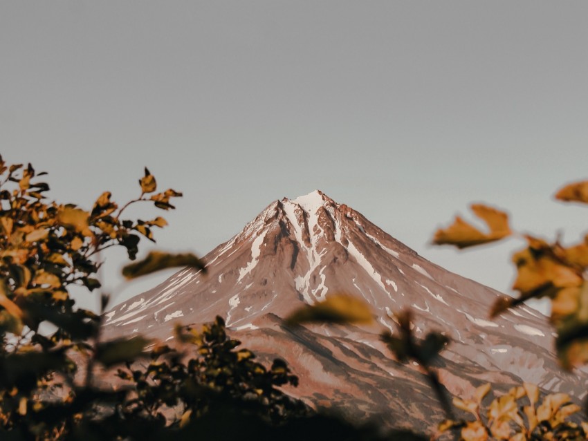 mountain, peak, volcano, branches, bushes