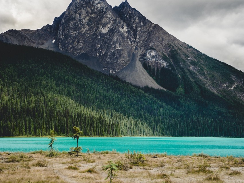 mountain, river, landscape, trees, forest