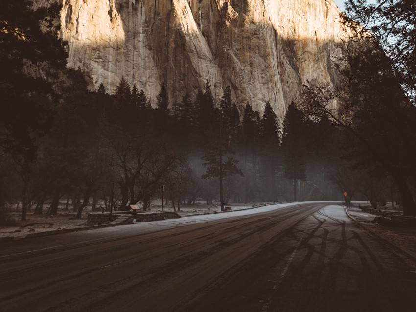 Mountain Road Fog Trees Turn Background