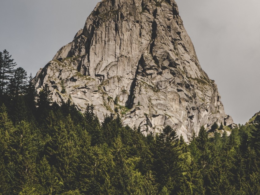 Mountain Rock Peak Forest Trees Background