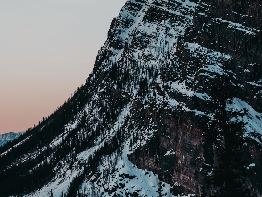 Mountain Slope Trees Snow Background