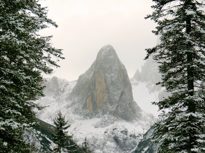 mountain, snow, branches, hill