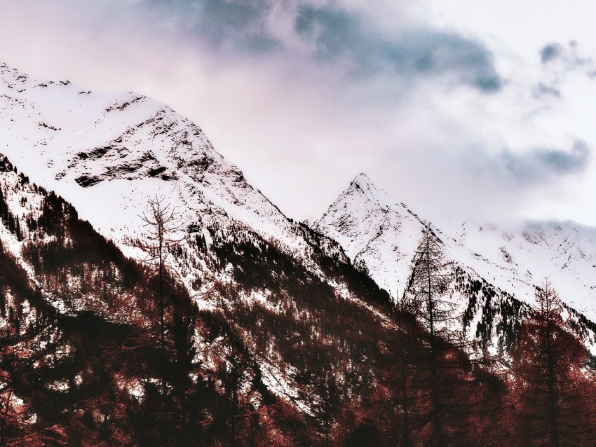 Mountain Snow Peak Trees Sky Background