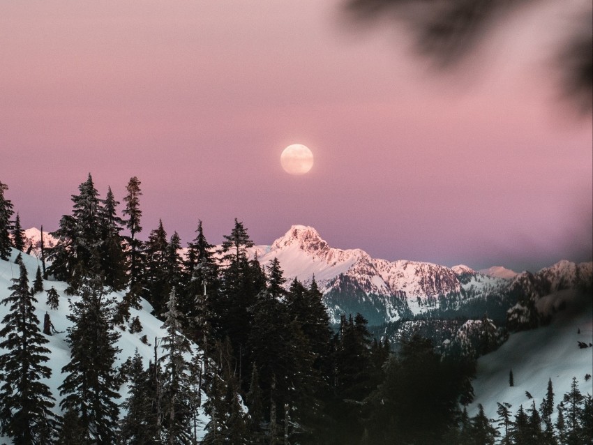 mountain, snow, sky, branches, moon