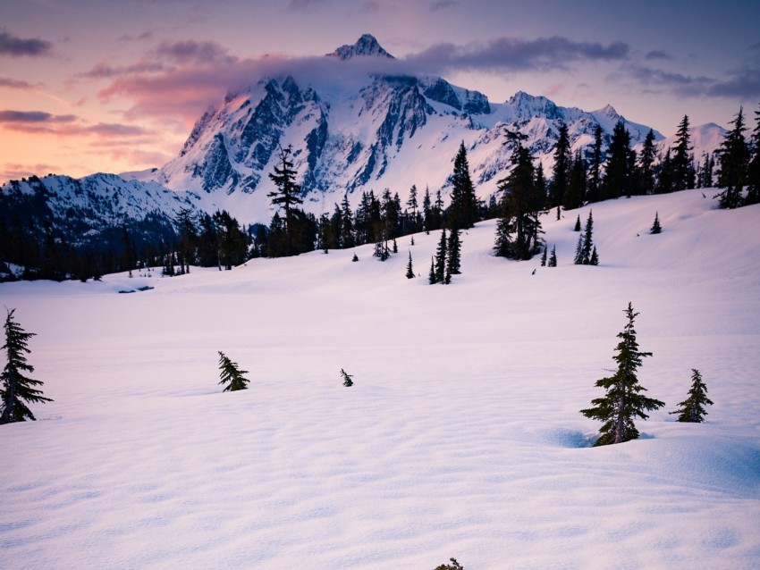 mountain, snow, trees, clouds, winter