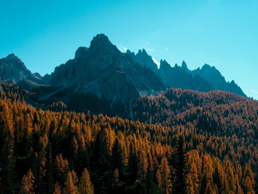 Mountain Trees Autumn Shadows Aerial View Background