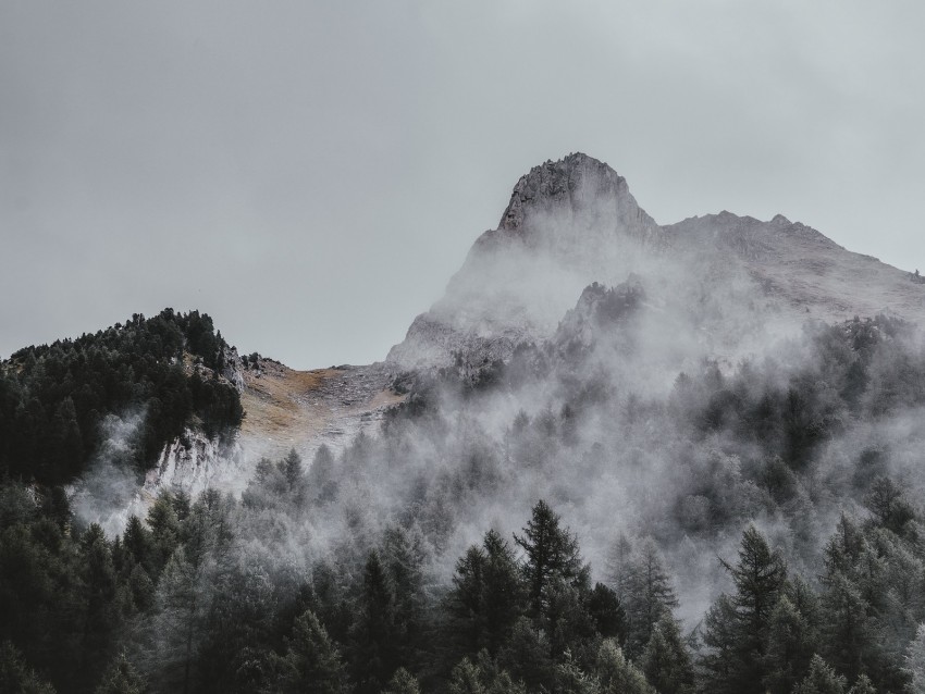 Mountain Trees Fog Aerial View Sky Peak Background