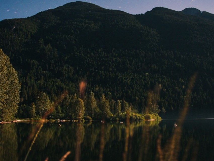 mountain, trees, lake, forest, starry sky