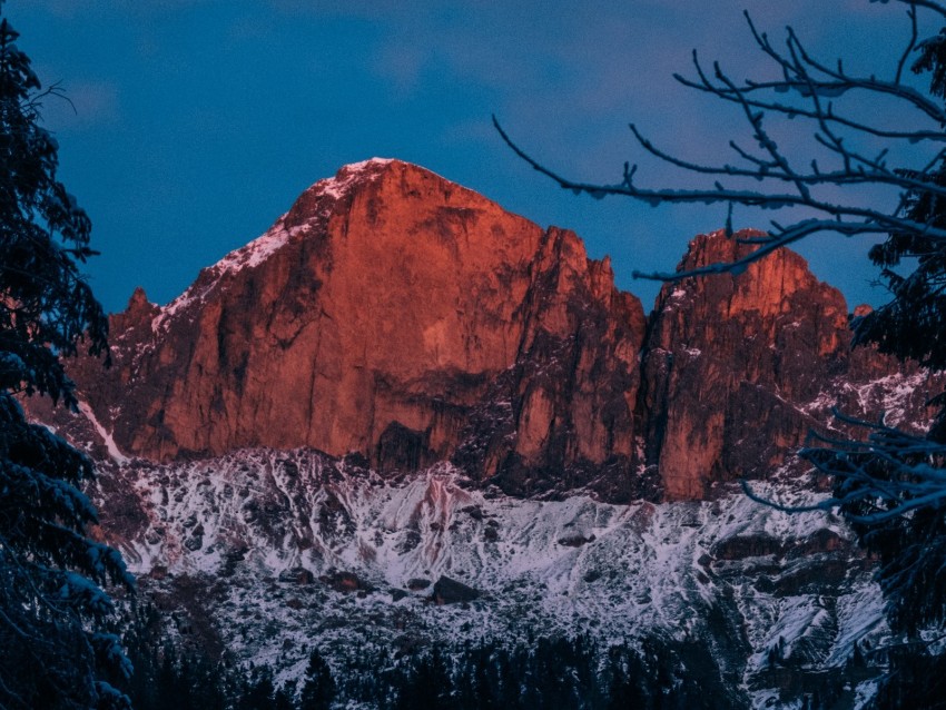 mountain, winter, branches, snow, twilight