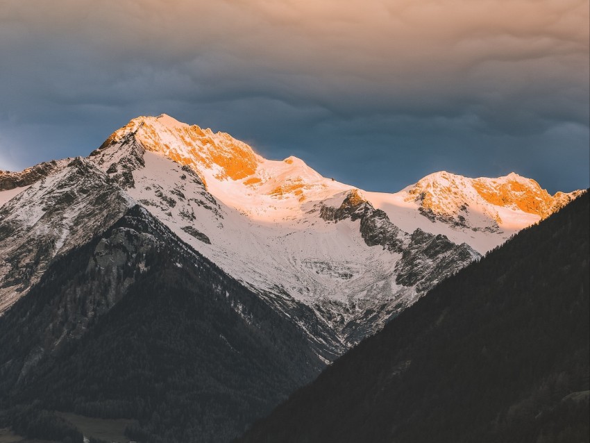 Mountains Aerial View Fog Clouds Peaks Trees Sky Background