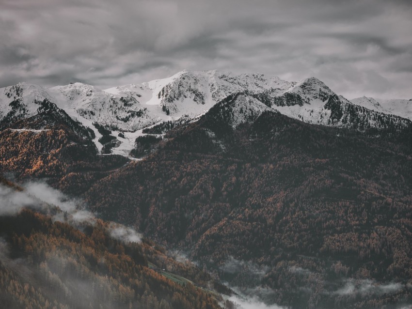 Mountains Aerial View Fog Trees Sky Peaks Background