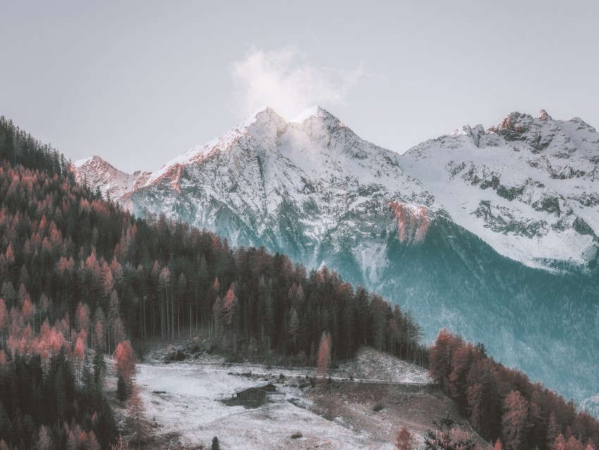 Mountains Aerial View Forest Trees Autumn Background