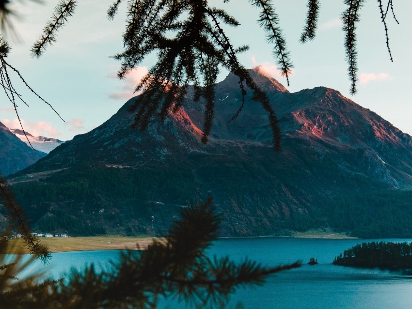 mountains, branches, lake, switzerland