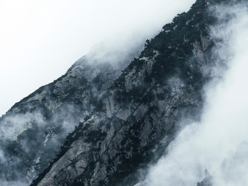 mountains, clouds, fog, slopes, vegetation