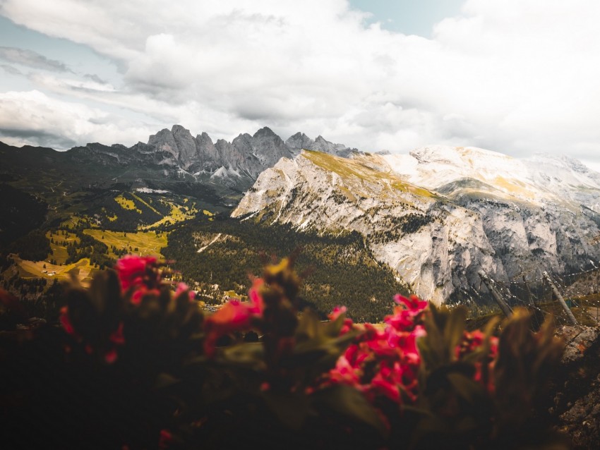 Mountains Flowers Clouds Peaks Height Background