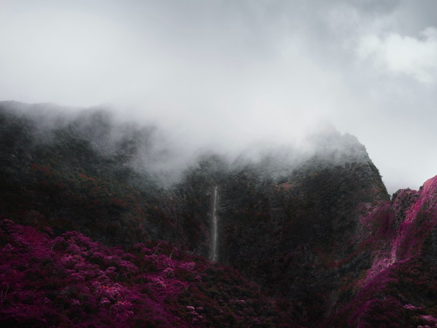 mountains, fog, clouds, trees, vegetation, landscape