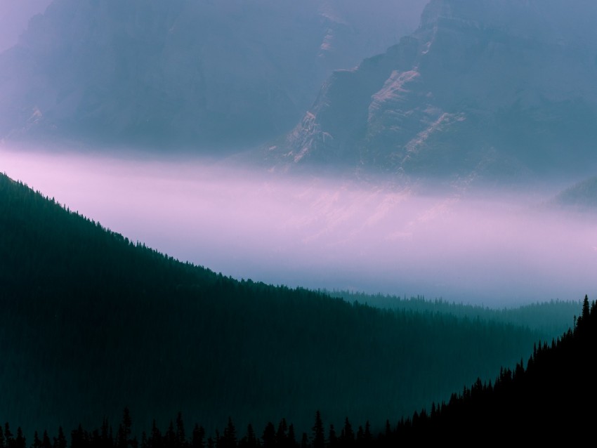 mountains, fog, sky, outlines, trees, forest