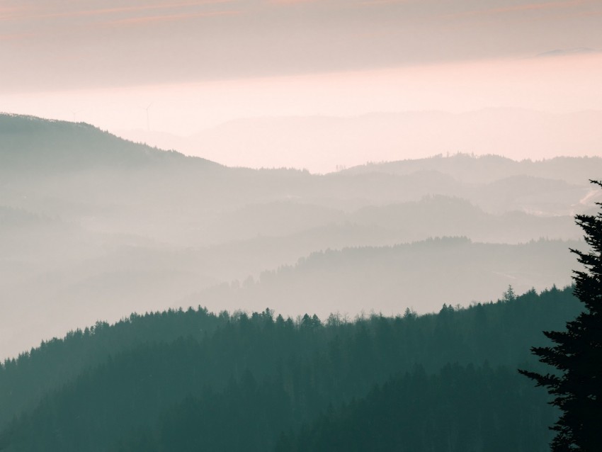 Mountains Fog Sky Trees Dawn Background