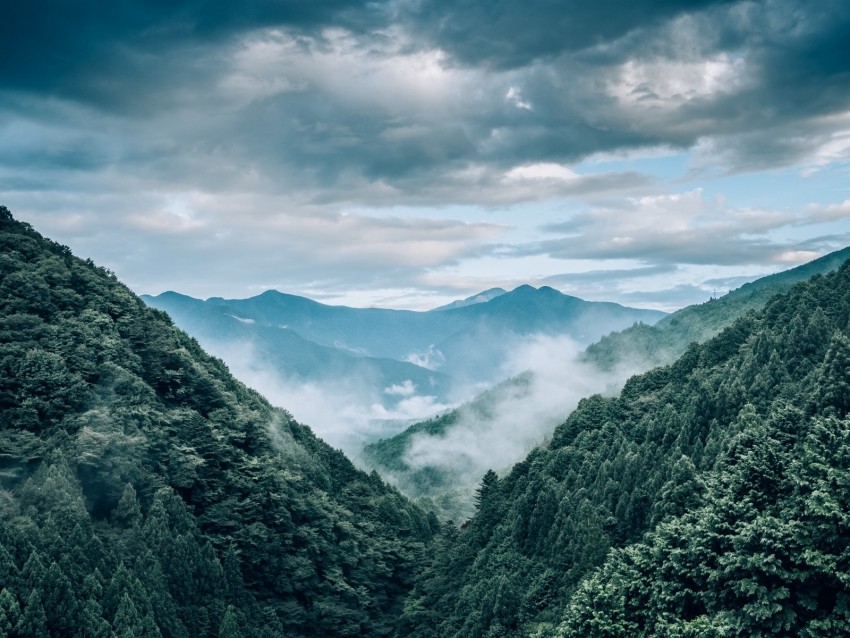 Mountains Fog Trees Aerial View Landscape Background