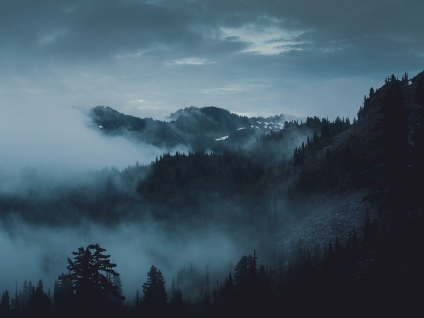 mountains, fog, trees, olympic national park, port angeles, usa