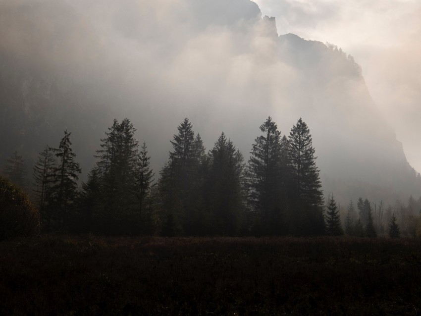 Mountains Fog Trees Sky Dark Background