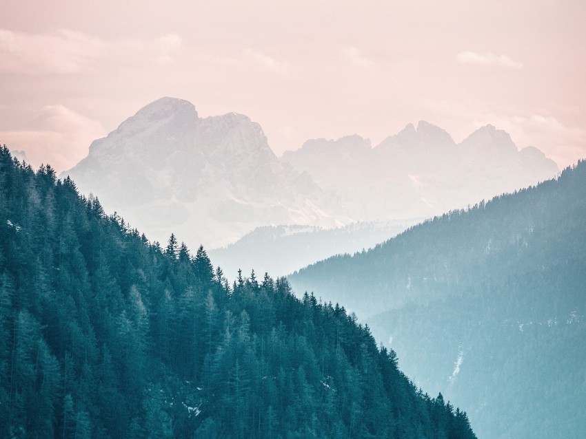 Mountains Fog Trees Sky Slope Background