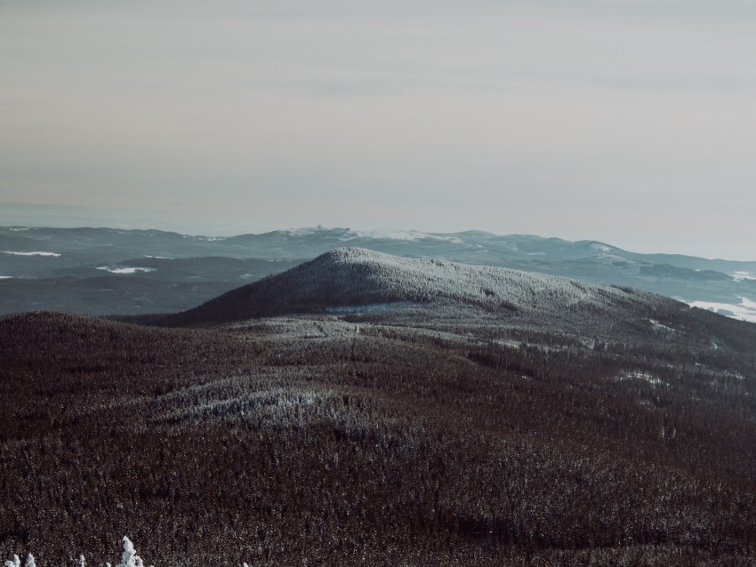 mountains, fog, trees, snowy, sky