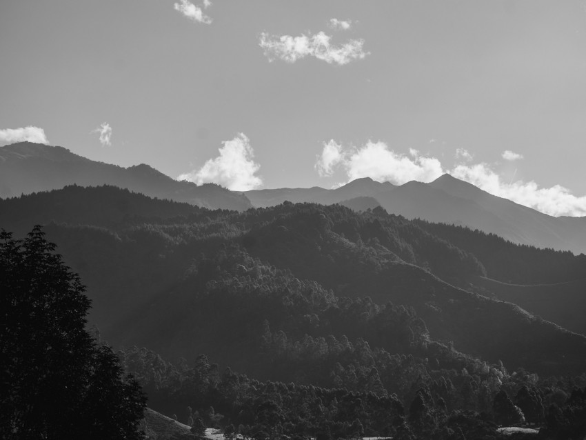 mountains, forest, bw, fog, landscape