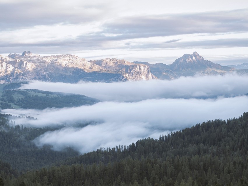 mountains, forest, fog, clouds, landscape