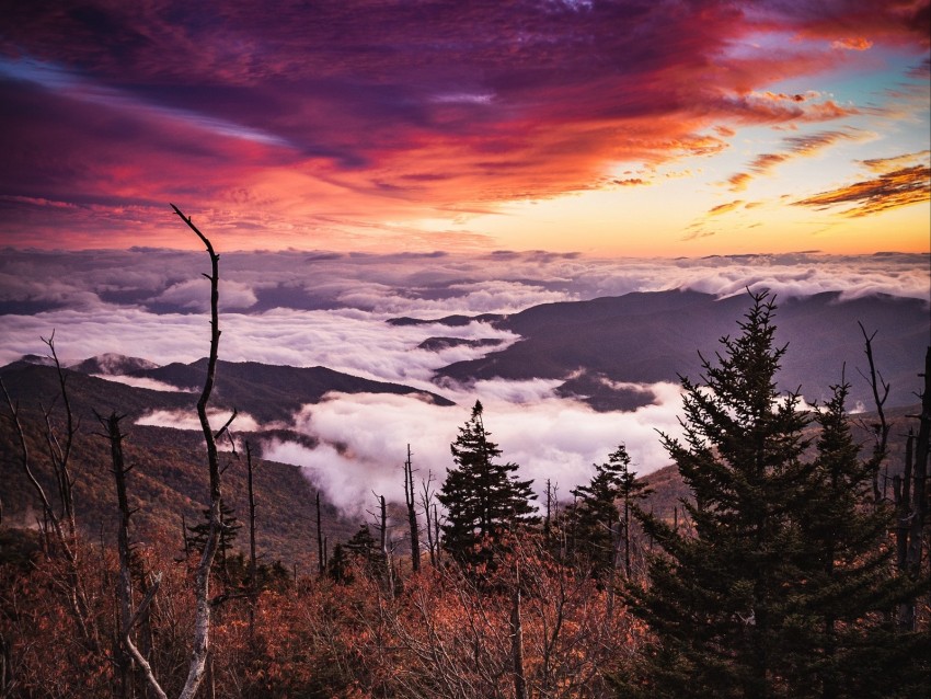 Mountains Forest Fog Clouds Landscape Background