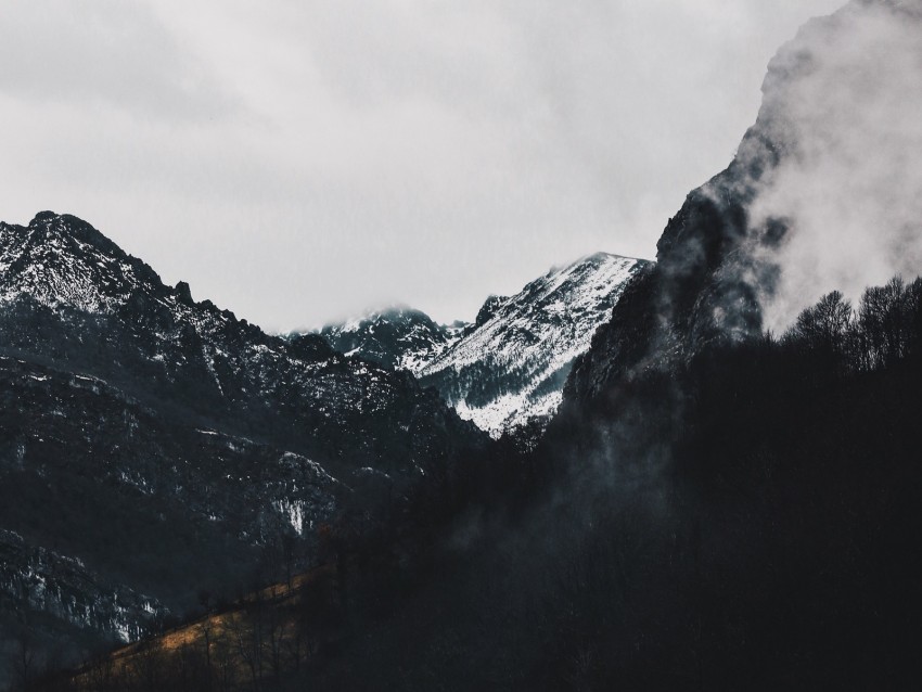 Mountains Forest Fog Landscape Alpine Background