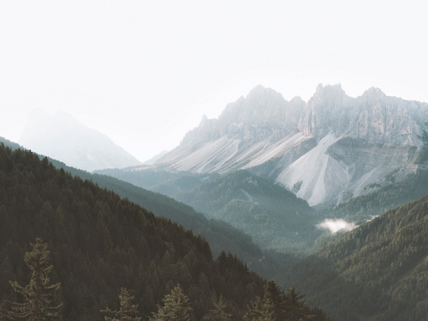 Mountains Forest Fog Slopes Trees Background