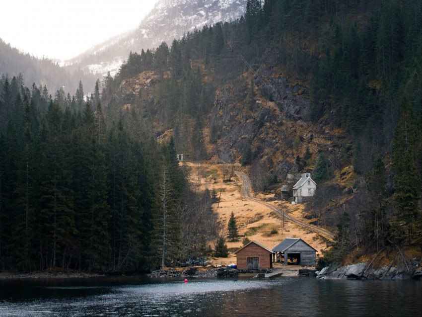 mountains, forest, houses, lake