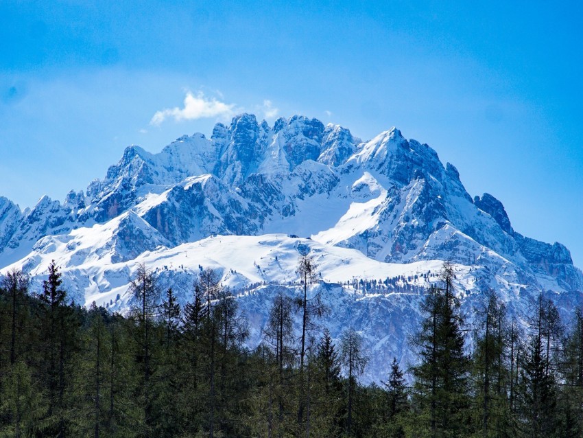 Mountains Forest Landscape Top Snow Trees Background